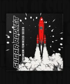Sugar Rocket Doja Seeds